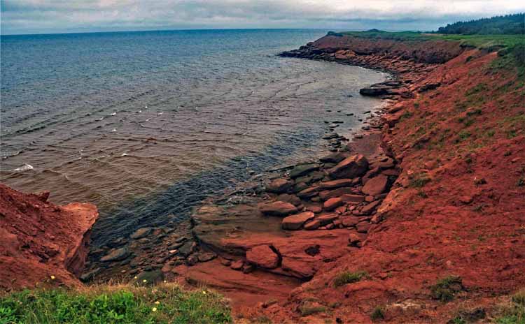 beach and coastline